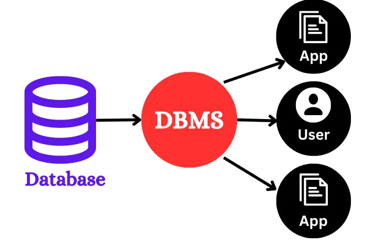 Database in Hindi - DBMS