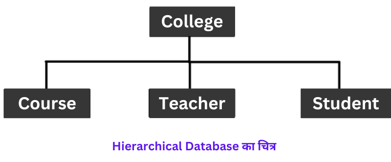 Hierarchical Database in Hindi