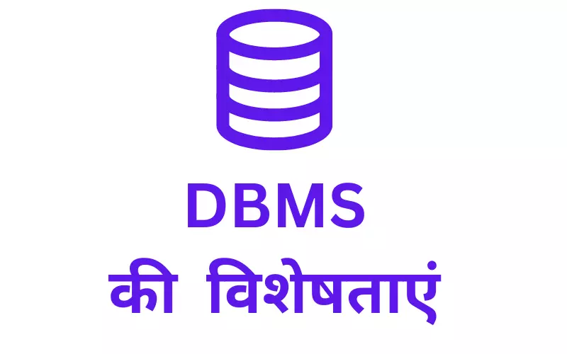 characteristics of dbms in hindi