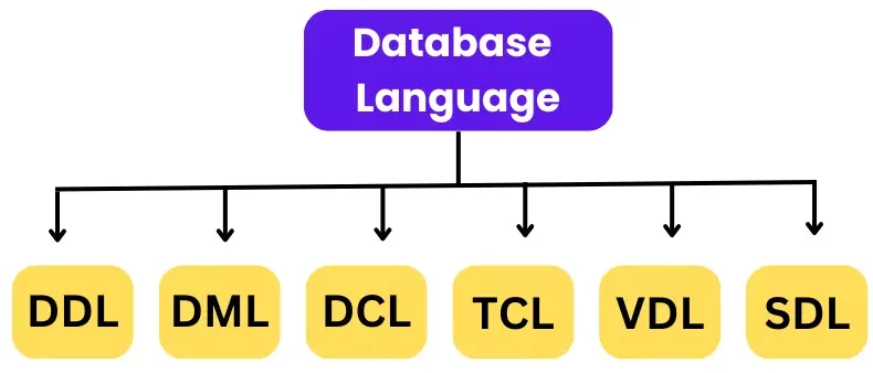 database languages in Hindi