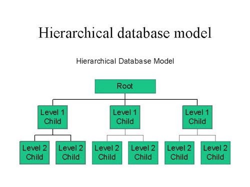 hierarchical database model in Hindi