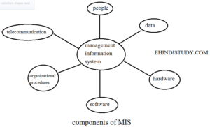 components of MIS
