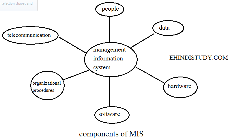 components-of-management-information-system-mis-in-hindi