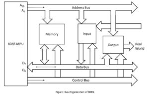 bus organization of 8085 microprocessor in hindi