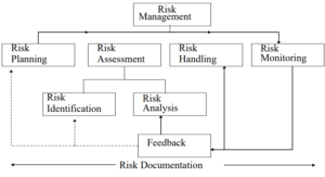 software risk management in hindi