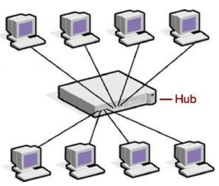 hub in Hindi 