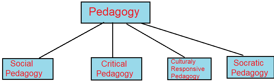 Types of pedagogy in Hindi