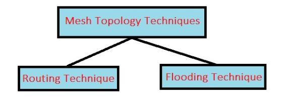 mesh topology techniques