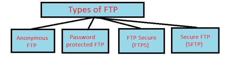 types of FTP in hindi