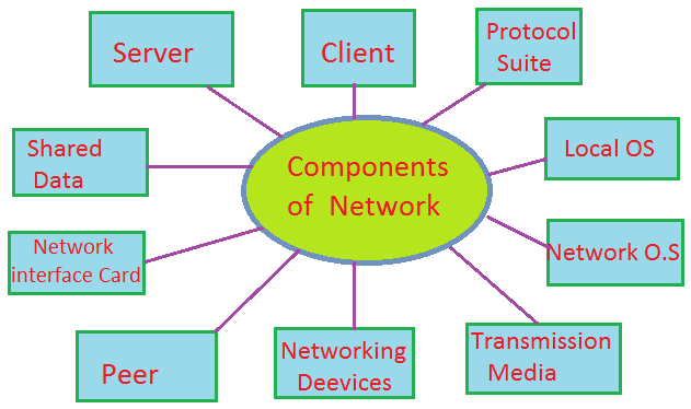components of network in Hindi