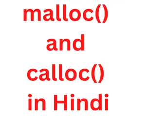 malloc() and calloc() in Hindi