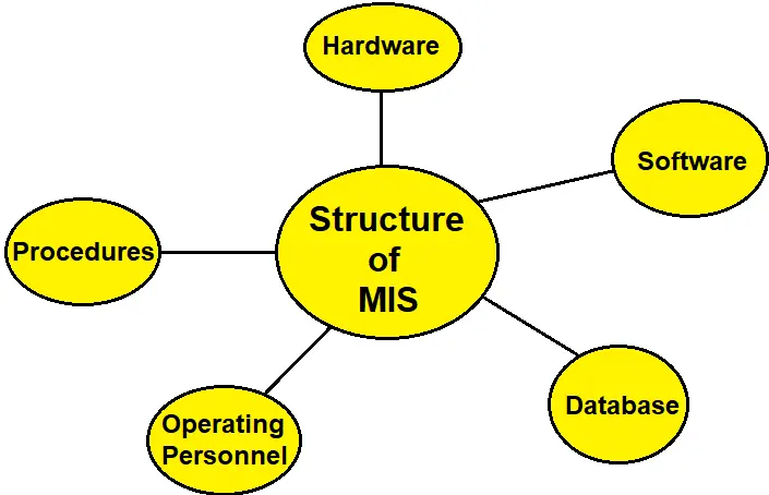 Structure of MIS in Hindi