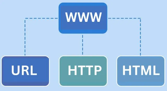 components of www in Hindi