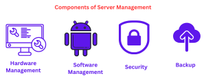components of server management in Hindi